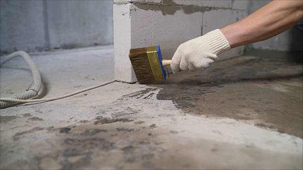 Top rated local Waterproofing specialists in Hesperia, MI